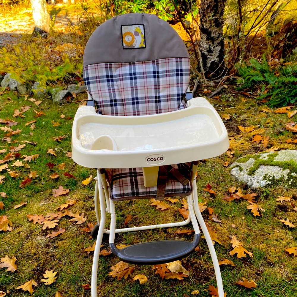 Cosco Baby Seat